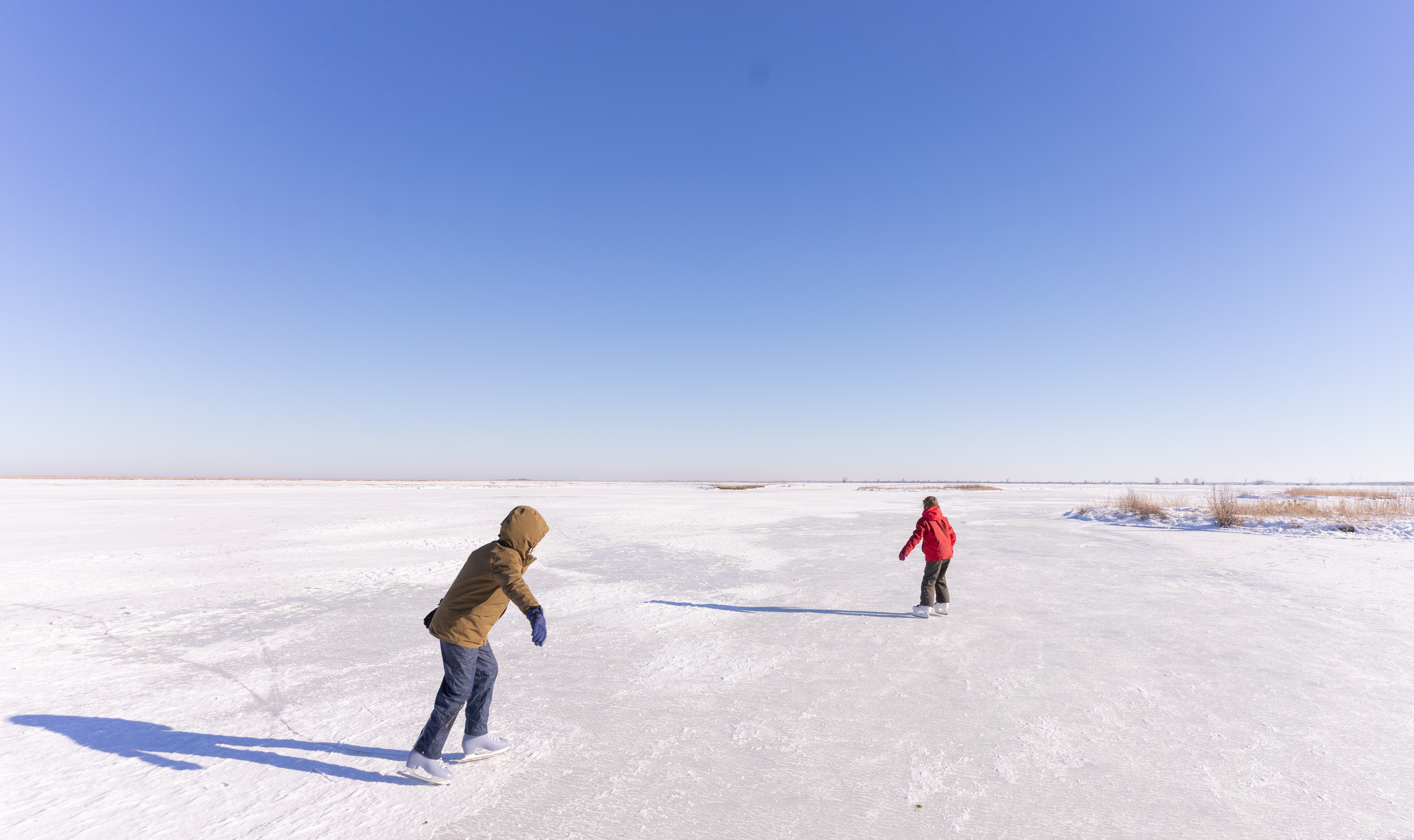 Schaatsen op de Oostvaardersplassen