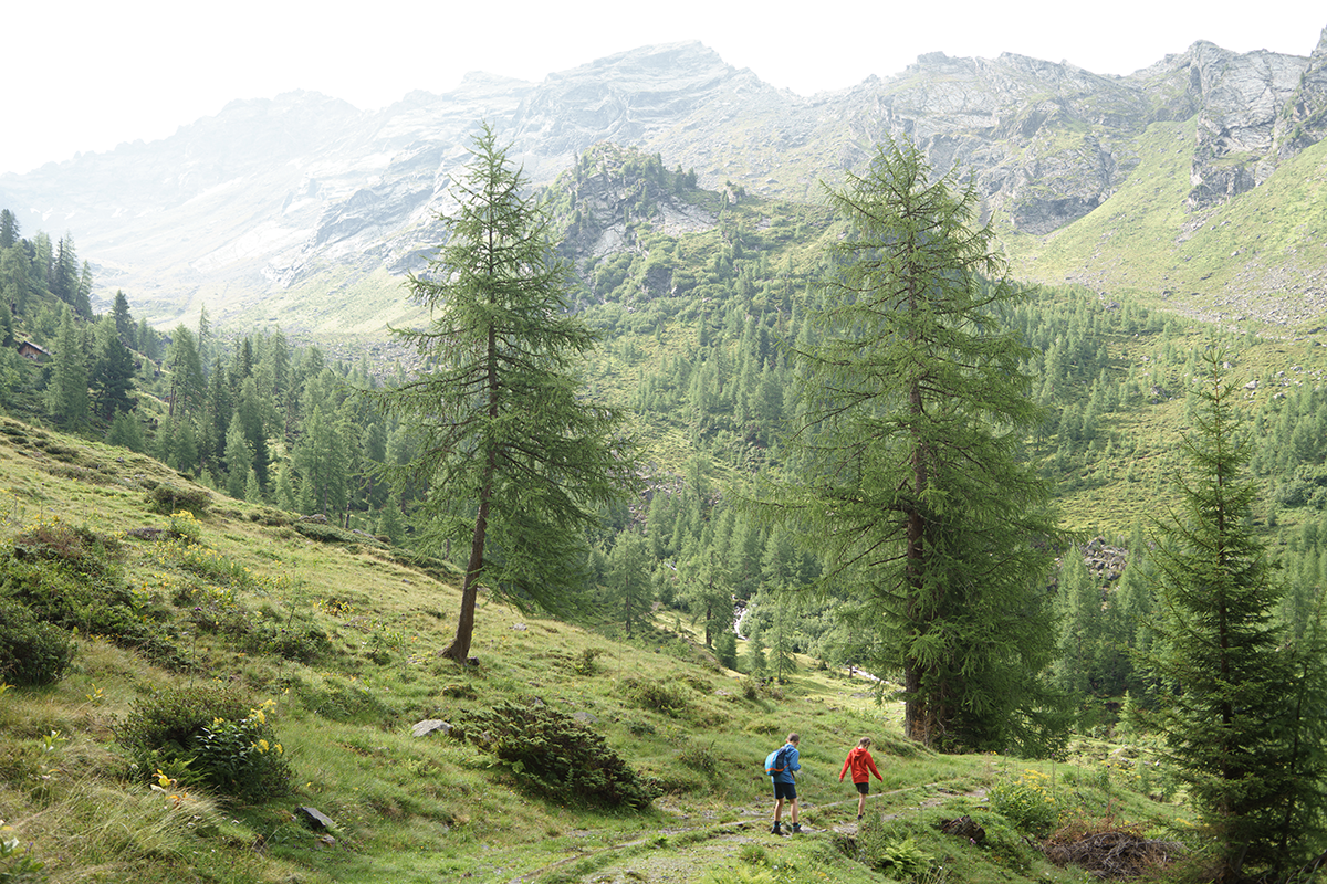 Op weg naar Gallruthalm